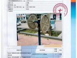 大转轮检验报告